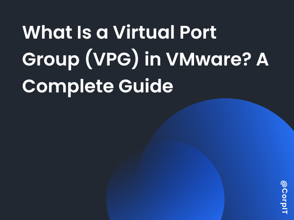 What Is a Virtual Port Group (VPG) in VMware? A Complete Guide