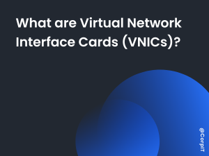 What are Virtual Network Interface Cards (VNICs)?
